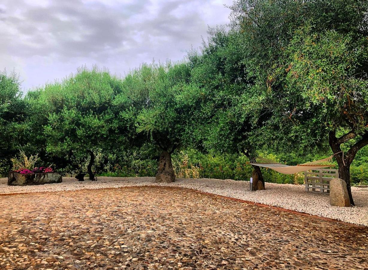 B&B Casa Vacanza Centro Sardegna Sorgono Luaran gambar