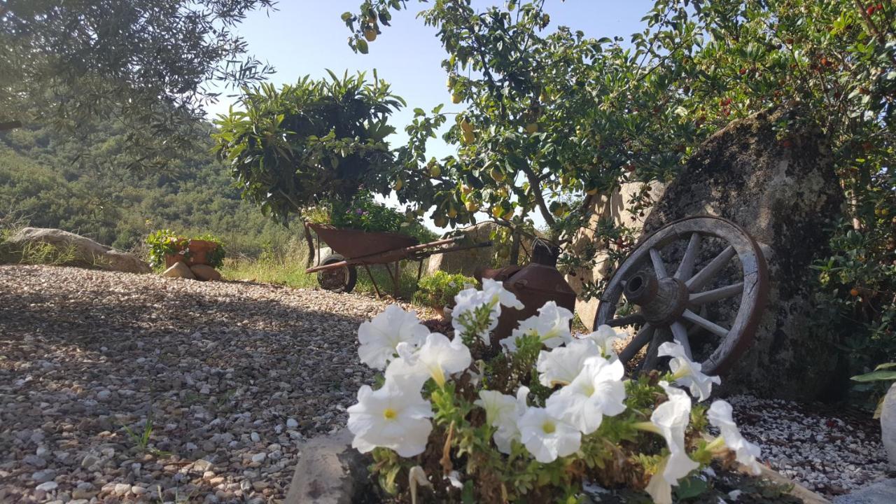 B&B Casa Vacanza Centro Sardegna Sorgono Luaran gambar