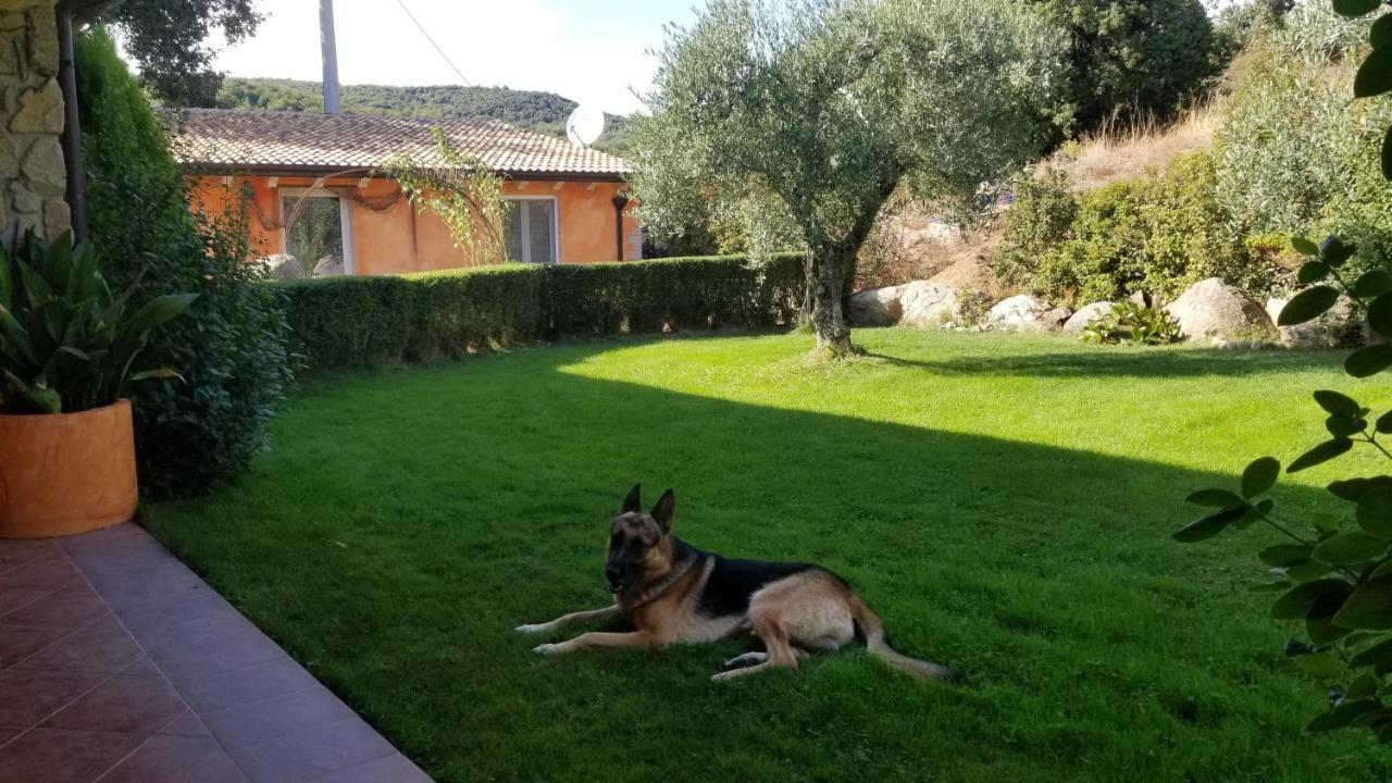 B&B Casa Vacanza Centro Sardegna Sorgono Luaran gambar